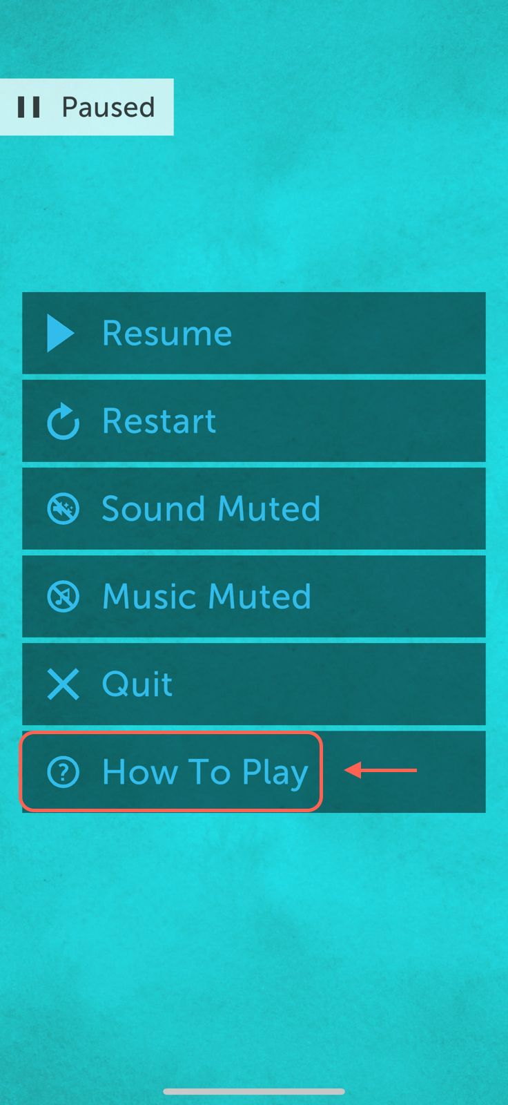 WhatsApp Image 2025-08-18 at 09.59.56.jpeg